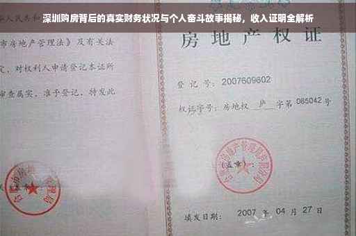 深圳购房背后的真实财务状况与个人奋斗故事揭秘，收入证明全解析