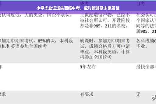 小学毕业证遗失面临中考，应对策略及未来展望