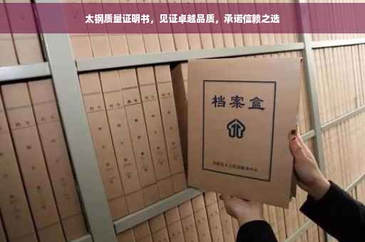 太钢质量证明书，见证卓越品质，承诺信赖之选
