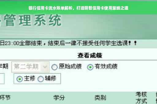 银行信用卡流水账单解析，打造明智信用卡使用策略之道