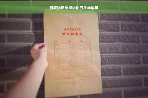 散装锅炉质量证明书全面解析