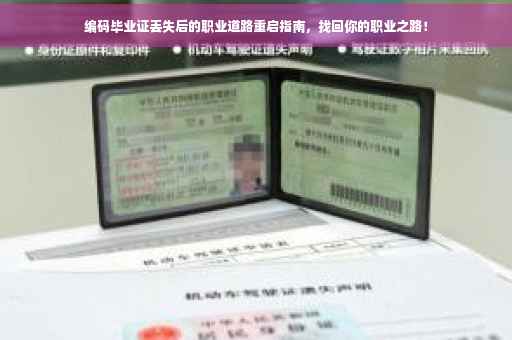 编码毕业证丢失后的职业道路重启指南，找回你的职业之路！