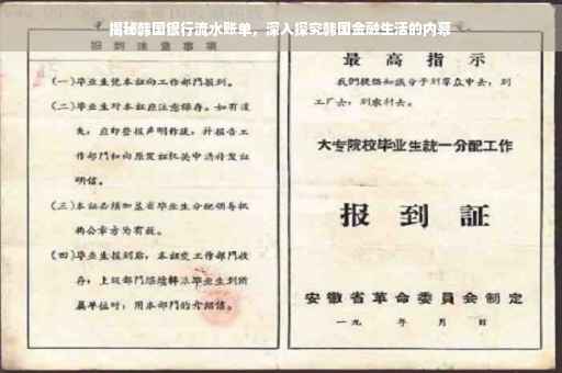 揭秘韩国银行流水账单，深入探究韩国金融生活的内幕