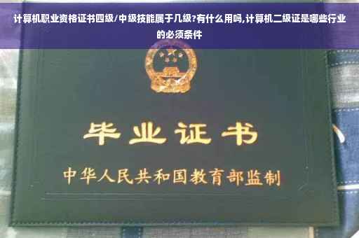 计算机职业资格证书四级/中级技能属于几级?有什么用吗,计算机二级证是哪些行业的必须条件