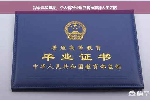 探索真实自我，个人情况证明书揭示独特人生之旅