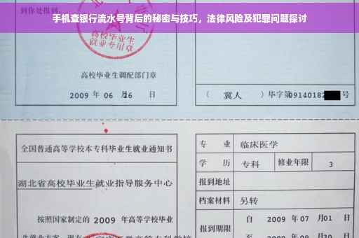 手机查银行流水号背后的秘密与技巧，法律风险及犯罪问题探讨