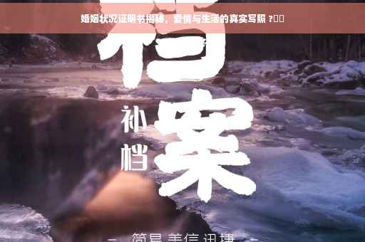 婚姻状况证明书揭秘，爱情与生活的真实写照 ?⚡️