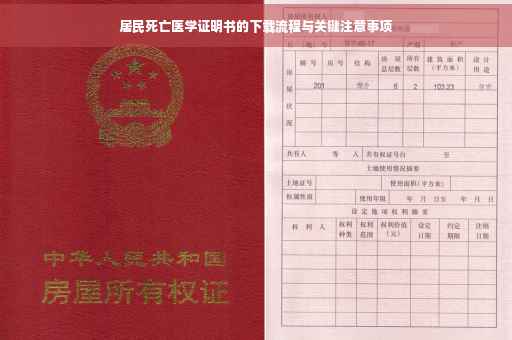 居民死亡医学证明书的下载流程与关键注意事项
