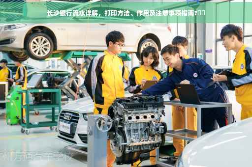 长沙银行流水详解，打印方法、作用及注意事项指南?⚡️