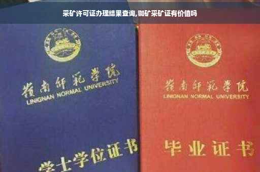 采矿许可证办理结果查询,铷矿采矿证有价值吗