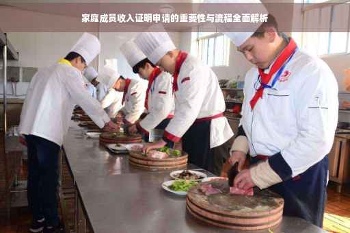 家庭成员收入证明申请的重要性与流程全面解析