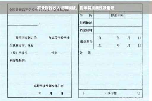农业银行收入证明模板，揭示其重要性及用途