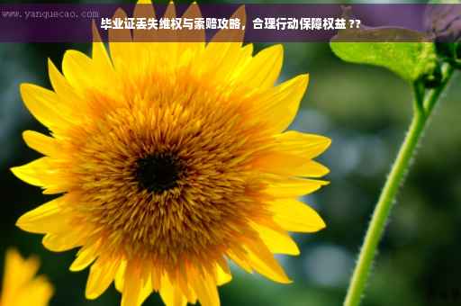 毕业证丢失维权与索赔攻略，合理行动保障权益 ??
