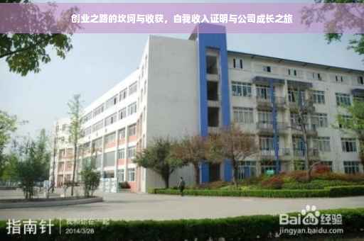 创业之路的坎坷与收获，自我收入证明与公司成长之旅