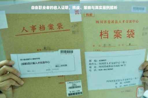 自由职业者的收入证明，挑战、策略与真实案例解析