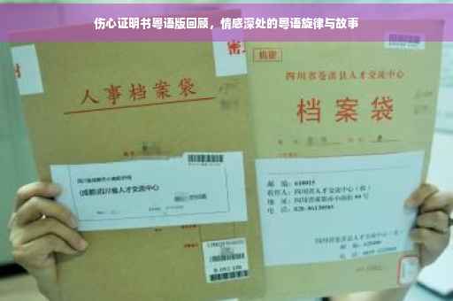 伤心证明书粤语版回顾，情感深处的粤语旋律与故事