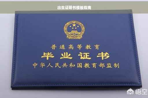 出生证明书模板指南