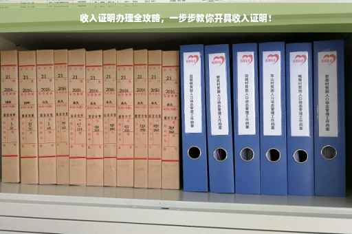 收入证明办理全攻略，一步步教你开具收入证明！