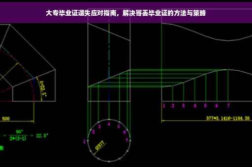 大专毕业证遗失应对指南，解决寄丢毕业证的方法与策略