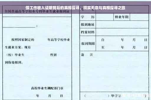 假工作收入证明背后的真相探寻，现实无奈与真相探寻之旅