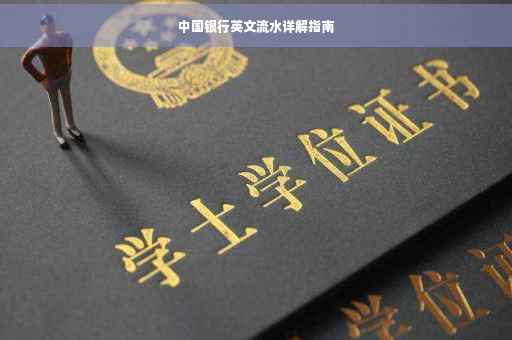 中国银行英文流水详解指南