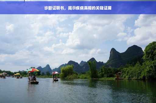 诊断证明书，揭示疾病真相的关键证据
