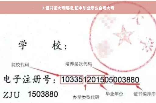 3 证书读大专院校,初中毕业怎么自考大专