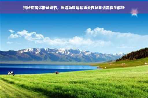 揭秘疾病诊断证明书，医院角度解读重要性及申请流程全解析