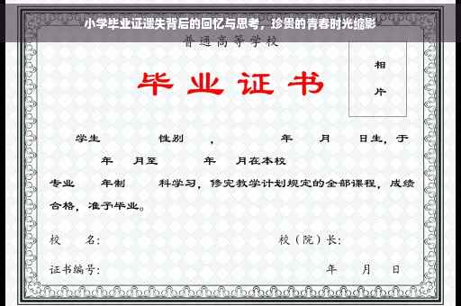 小学毕业证遗失背后的回忆与思考，珍贵的青春时光缩影