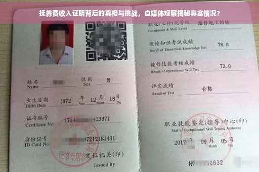 抚养费收入证明背后的真相与挑战，自媒体观察揭秘真实情况?