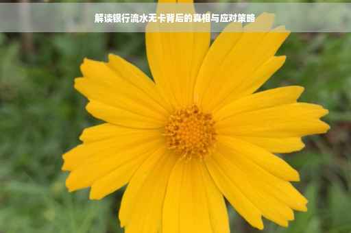 解读银行流水无卡背后的真相与应对策略