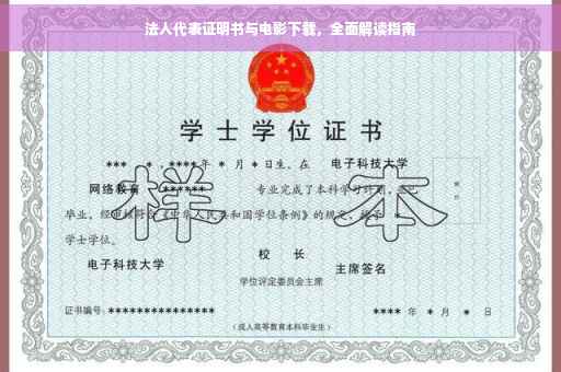 法人代表证明书与电影下载，全面解读指南