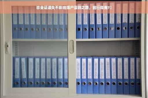毕业证遗失不影响落户深圳之路，前行指南?✨