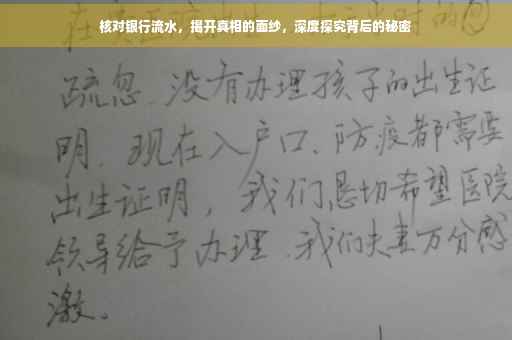 核对银行流水，揭开真相的面纱，深度探究背后的秘密