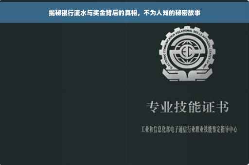 揭秘银行流水与奖金背后的真相，不为人知的秘密故事