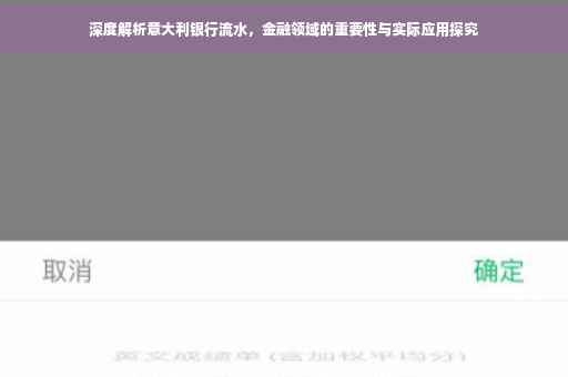 深度解析意大利银行流水，金融领域的重要性与实际应用探究