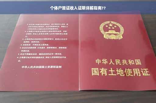 个体户签证收入证明详解指南??