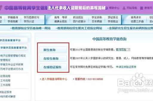 法人代表收入证明背后的真相揭秘