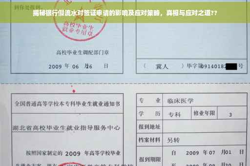 揭秘银行假流水对签证申请的影响及应对策略，真相与应对之道??