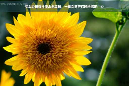 买车办理银行流水全攻略，一篇文章带你轻松搞定！??