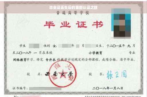 毕业证丢失后的重新认证之旅