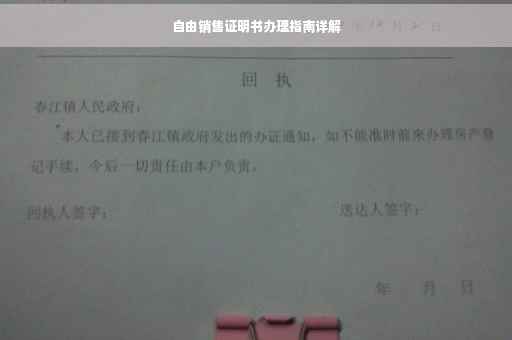 自由销售证明书办理指南详解