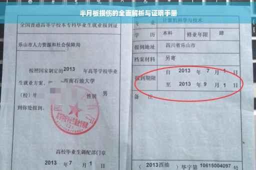 半月板损伤的全面解析与证明手册