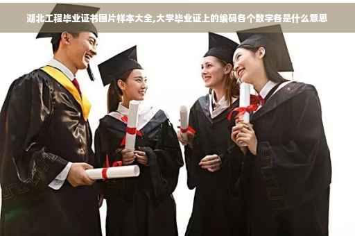湖北工程毕业证书图片样本大全,大学毕业证上的编码各个数字各是什么意思