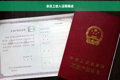 非员工收入证明概述
