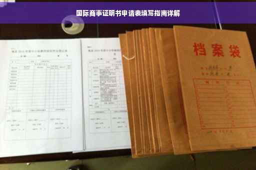 国际商事证明书申请表填写指南详解