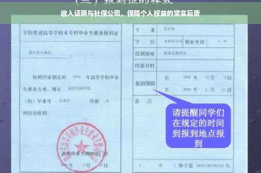 收入证明与社保公司，保障个人权益的坚实后盾