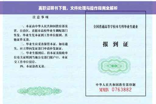 离职证明书下载，文件处理与操作指南全解析
