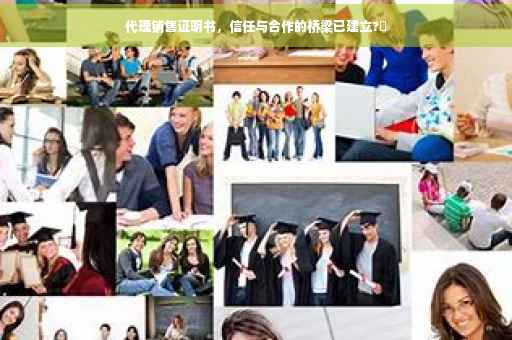 代理销售证明书，信任与合作的桥梁已建立?✨