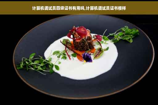 计算机调试员四级证书有用吗,计算机调试员证书模样